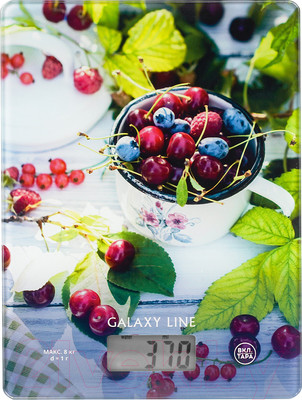 Кухонные весы Galaxy GL 2818