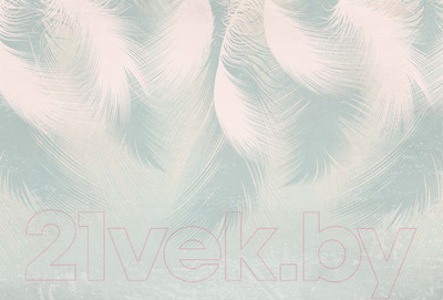 Фотообои листовые Vimala Перья 22 (270x400)