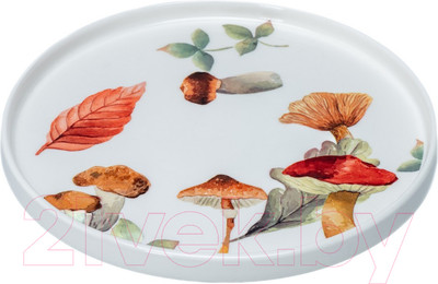 Тарелка закусочная (десертная) Белбогемия Z11262-Z187 / 106765