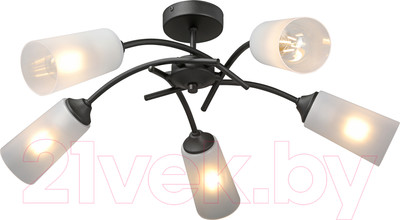 Люстра Vitaluce V2850-1/5PL