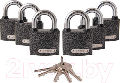 Набор замков навесных Apecs PD-01-50-Blister (6Locks+5Keys)