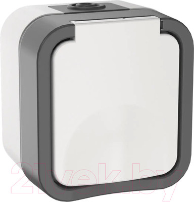 Розетка IEK Tors TS-R16-16-55-K41 (белый)