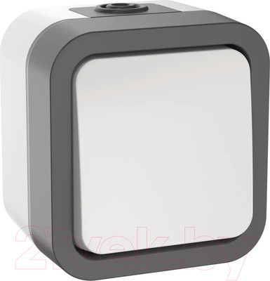 Выключатель IEK Tors TS-V10-0-10-55-K41 (белый)