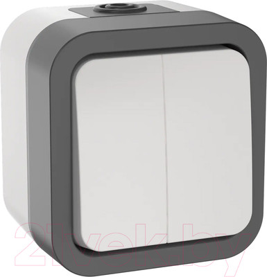 Выключатель IEK Tors TS-V20-0-10-55-K41 (белый)