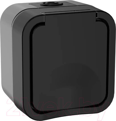 Розетка IEK Tors TS-R16-16-55-K53 (графит)