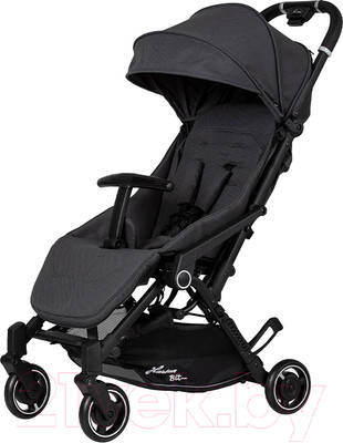 Детская прогулочная коляска Hartan Bit 166 / 2017.130.166 (Graphit)