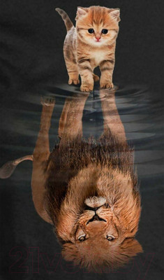 Картина Stamion Лева (45x75см)