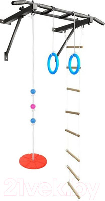 Турник Absolute Champion Оптимист / АЧ 10045 (тарзанка, лестница, кольца, черный, черные ручки)