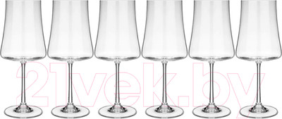 Набор бокалов Bohemia Xtra 40862/47/560 (6шт)