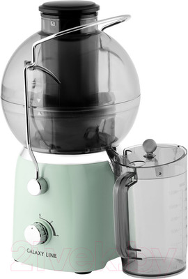 Соковыжималка электрическая Galaxy GL 0811 (свежая мята)