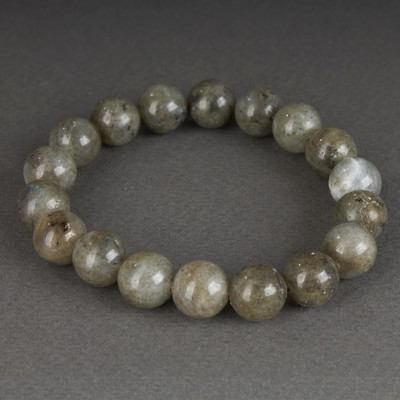 Браслет Wolves Лабрадор 40465 (р.19)