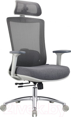 Кресло офисное Evolution Ergo Prime (серый)