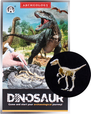 Набор для опытов Darvish Раскопки. Dinosaur / SR-T-3045