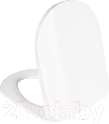 Сиденье для унитаза IDDIS Soft Close 067DPSEi31