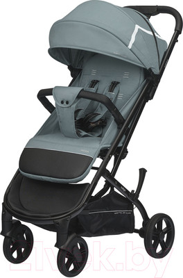 Детская прогулочная коляска INDIGO Mega (голубой)