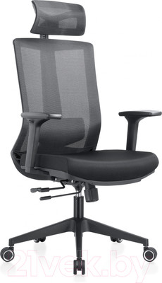Кресло офисное Evolution Ergo Bliss (черный)