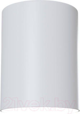 Потолочный светильник Maytoni Alfa C014CL-01W