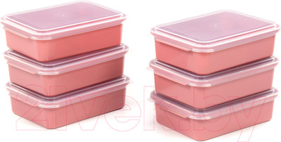 Набор контейнеров Полесье 176x123x50мм с крышками / 73928 (6шт, бледно-коралловый/прозрачный)