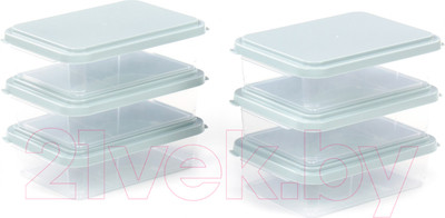 Набор контейнеров Полесье 176x123x50мм с крышками / 73911 (6шт, прозрачный/светло-серый)