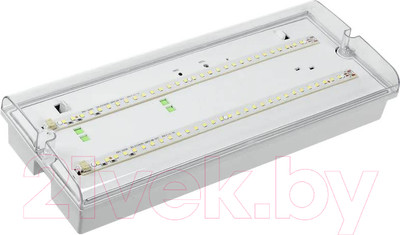 Светильник аварийный IEK ДПА 5042-3 / LDPA0-5042-3-65-K01