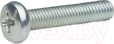 Винт ЕКТ С полуцилиндр. головкой Ph 6x70 DIN7985 прочность 4.8 / VE012757 (25кг, цинк)