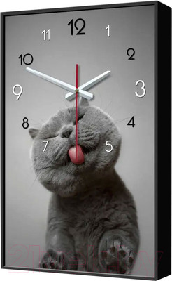 Настенные часы Декарт Кот Британец 8Ч0012
