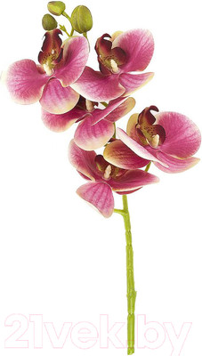 Искусственный цветок Gloria Garden Орхидея / 9180083 (бордовый)