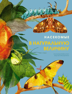 Энциклопедия Махаон Насекомые в натуральную величину, твердая обложка (Фогато Вальтер)