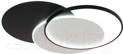 Потолочный светильник Rivoli Julia 6080-401 / Б0061832