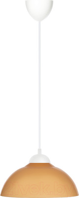 Потолочный светильник TDM SQ0313-0032