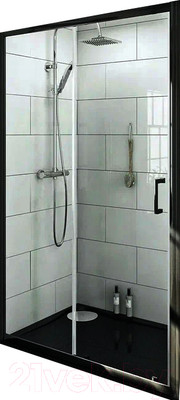 Душевая дверь PELICAN FP020100B