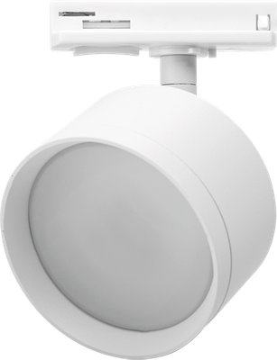 Трековый светильник Wolta WTL-GX53/01W