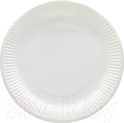 Набор одноразовых тарелок Raivbel ТБ-23 (100шт, белый)