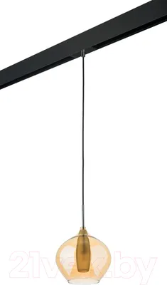 Трековый светильник Lightstar Pentola / PRO803043