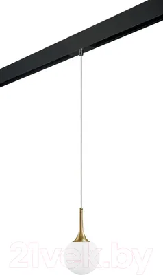 Трековый светильник Lightstar Globo / PRO813013