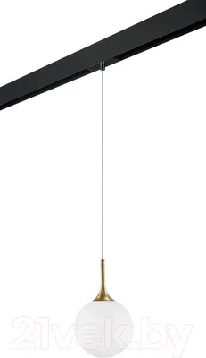 Трековый светильник Lightstar Globo / PRO813022