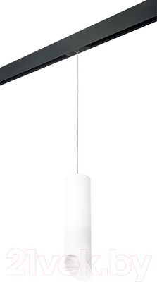 Трековый светильник Lightstar Rullo PRORP649686