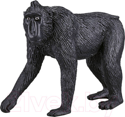 Фигурка коллекционная Konik Хохлатый павиан / AMW2084