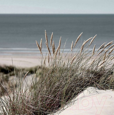 Картина Stamprint Трава 3 SN015 (35x35см)