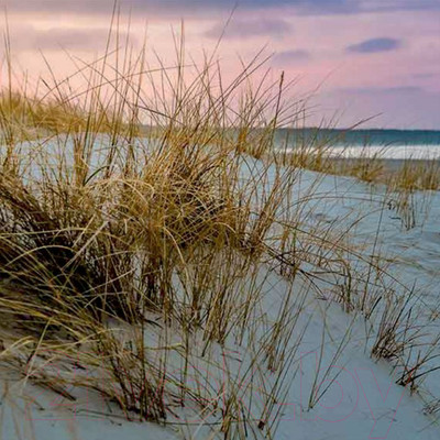 Картина Stamprint Гавань 2 SN005 (35x35см)