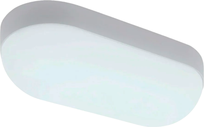 Светильник ЖКХ Ambrella ST8666