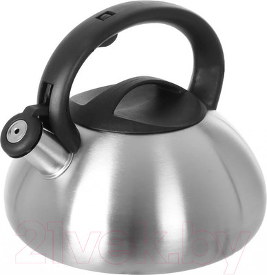 Чайник со свистком Astiat AST1005 (3л)