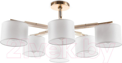 Люстра Freya Pipe FR5386CL-06G