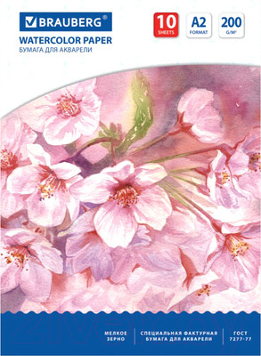 Набор бумаги для рисования Brauberg Цветы / 125223