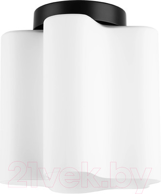 Потолочный светильник Lightstar Nubi 802017