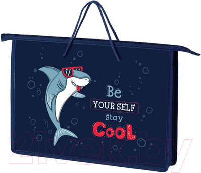 Папка-портфель Оникс Acoola / ПТ-15