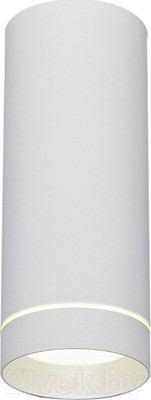 Точечный светильник Elektrostandard DLR022 12W 4200K (белый матовый)
