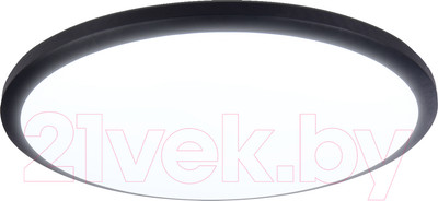 Потолочный светильник Ambrella FZ1234 BK (черный)