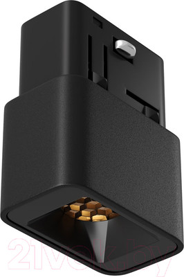 Трековый светильник Maytoni Points S TR100-2-2W3K-S-B