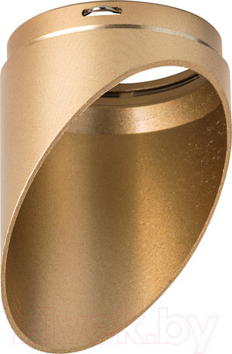 Насадка торцевая для светильника Lightstar Rullo 201440